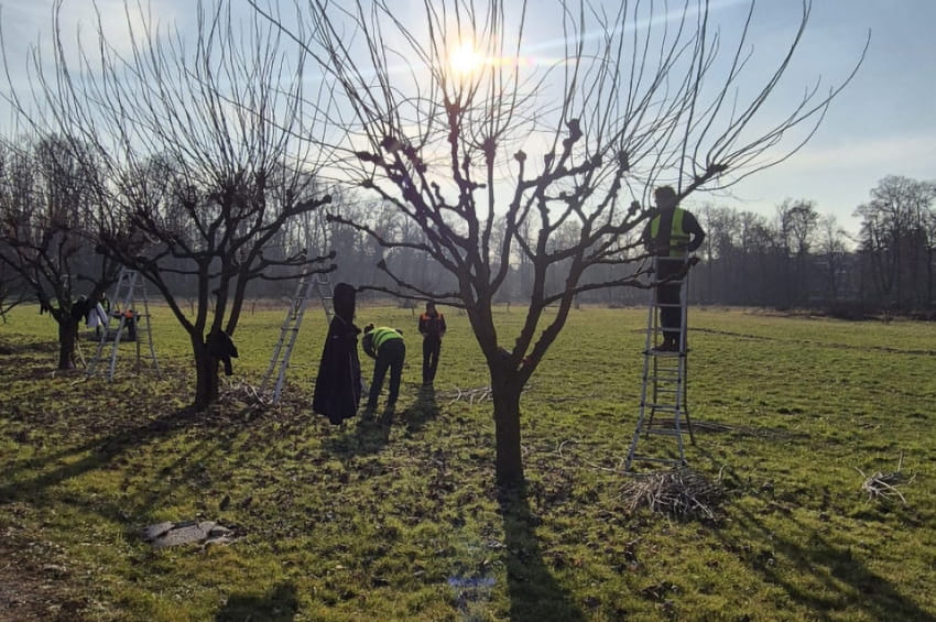 form scuola agraria parco monza corso gratuito cura del verde