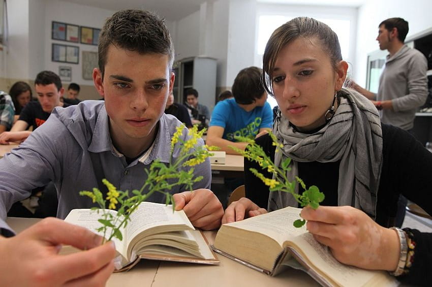 formazione FEM ph P.Cavagna min