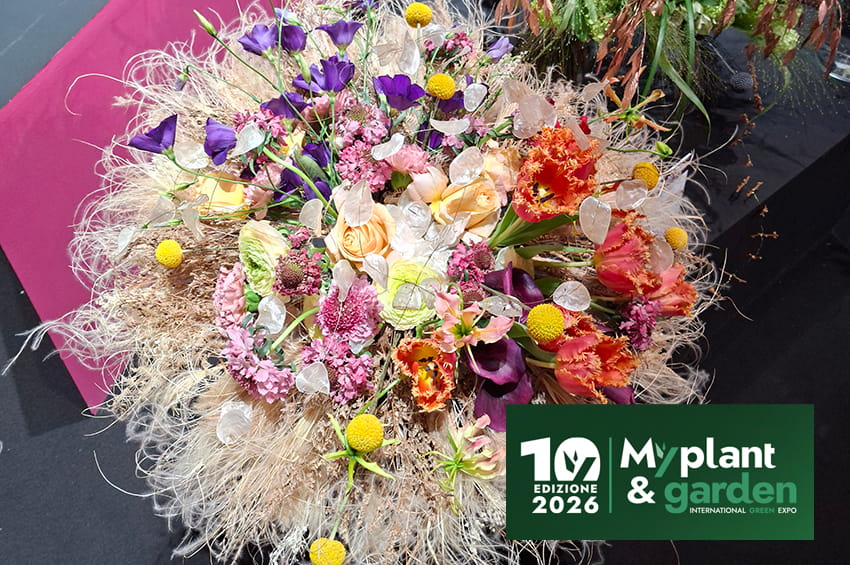 galleria myplant 2026 flower design