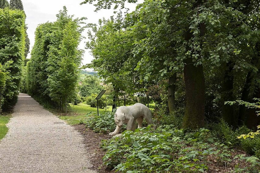 gp Pojega boschetto min