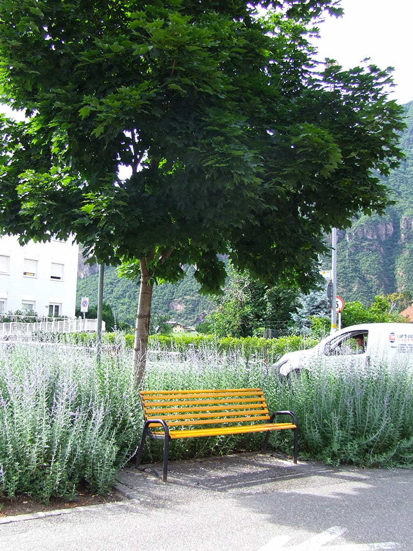 gp biofilia.appalti verdi 02 Foto Agrital