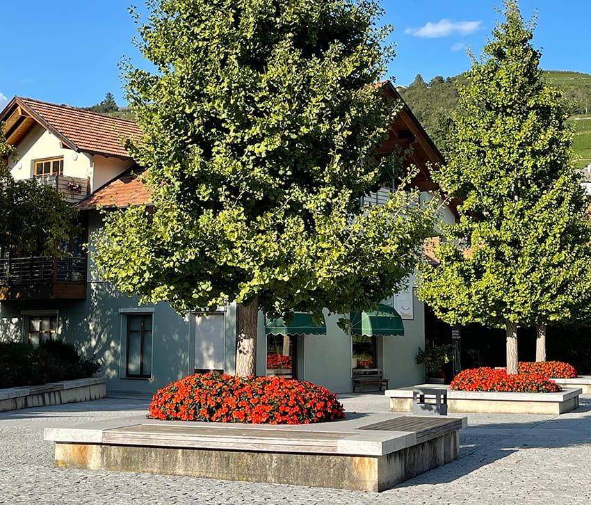 gp biofilia.appalti verdi 03 Foto Agrital 1