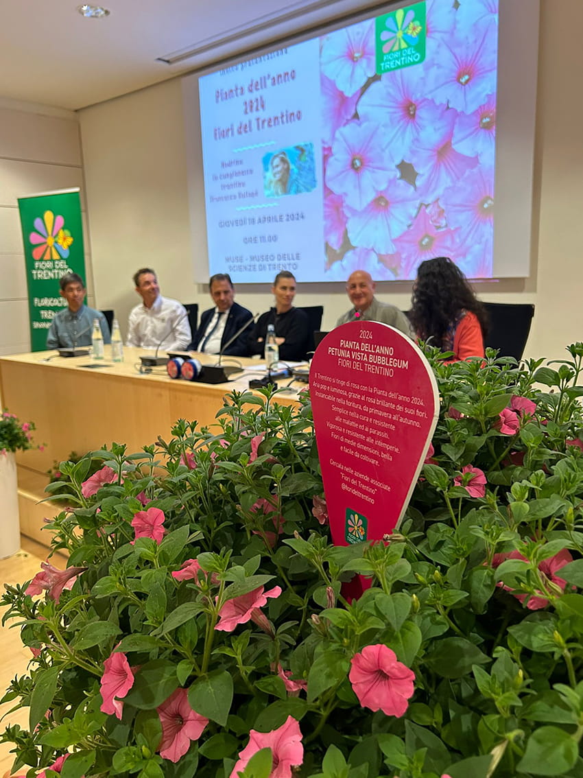 tm pianta anno 2024 presentazione