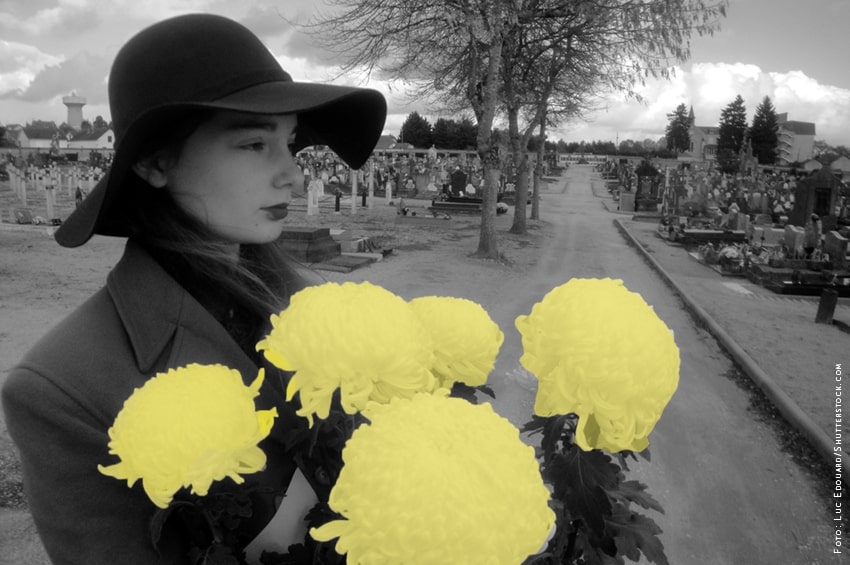 Piante e fiori, anche Ognissanti conferma la ripresa