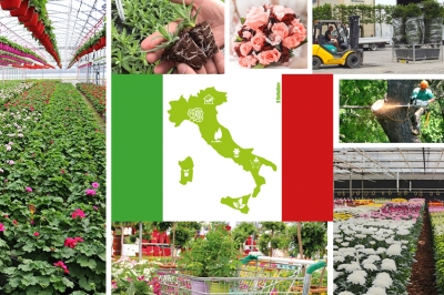 Coronavirus: misure anticrisi per il florovivaismo, tra promesse e rischi