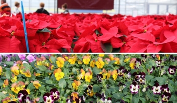 1&deg; dicembre: invito Porte Aperte Psenner e Planta a Caldaro (BZ)