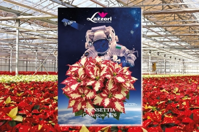 Passione, innovazione e visione: tutto nel Catalogo Poinsettie 2026 di Lazzeri