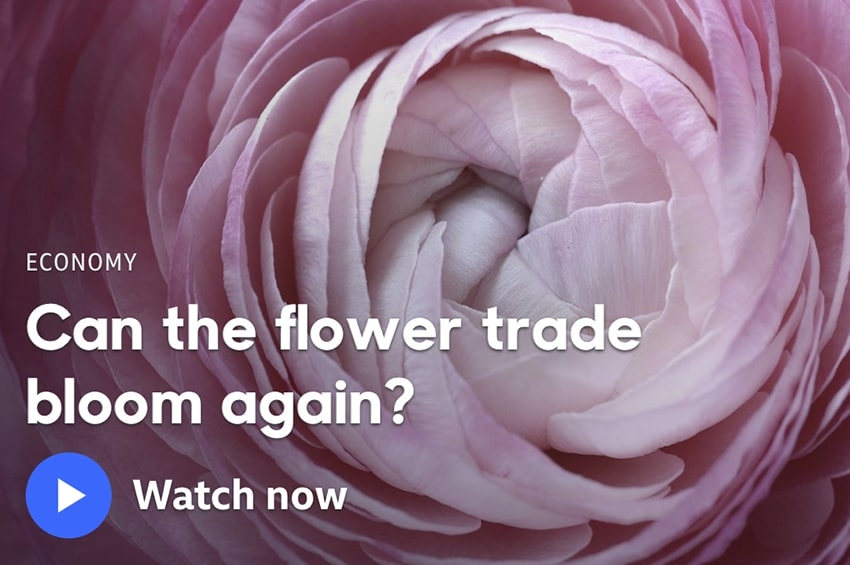 In un documentario della BBC il futuro del mercato dei fiori recisi
