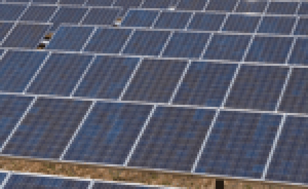 Agronomi e forestali in prima linea su energie rinnovabili in agricoltura