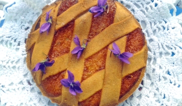 I mille volti della VIOLA
