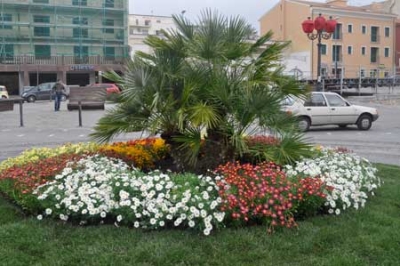 Il consorzio &ldquo;Corallo Verde&rdquo;  fa rifiorire la citt&agrave; di Alghero