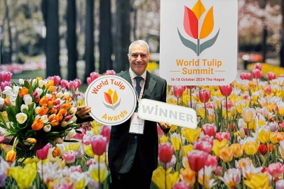Parco Giardino Sigurtà: Tulipanomania vince il World Tulip Innovation Award 2024