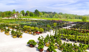 17 settembre: torna Porte Aperte a Nippon Tree