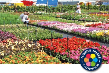 Tornano i #FlowerTrials e sbarcano sui social