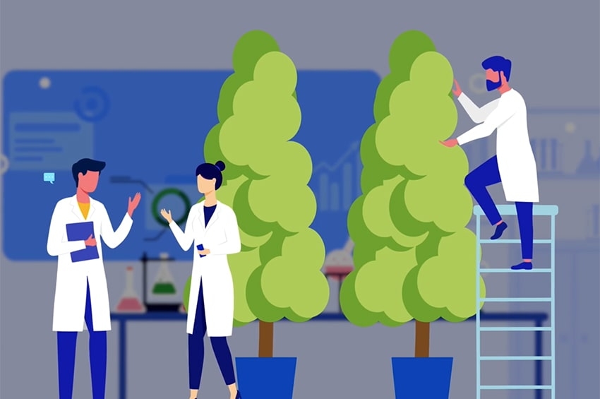 Toscana, con In.Tra.Viva. un corso e un video per spiegare come si aggiunge valore alle piante