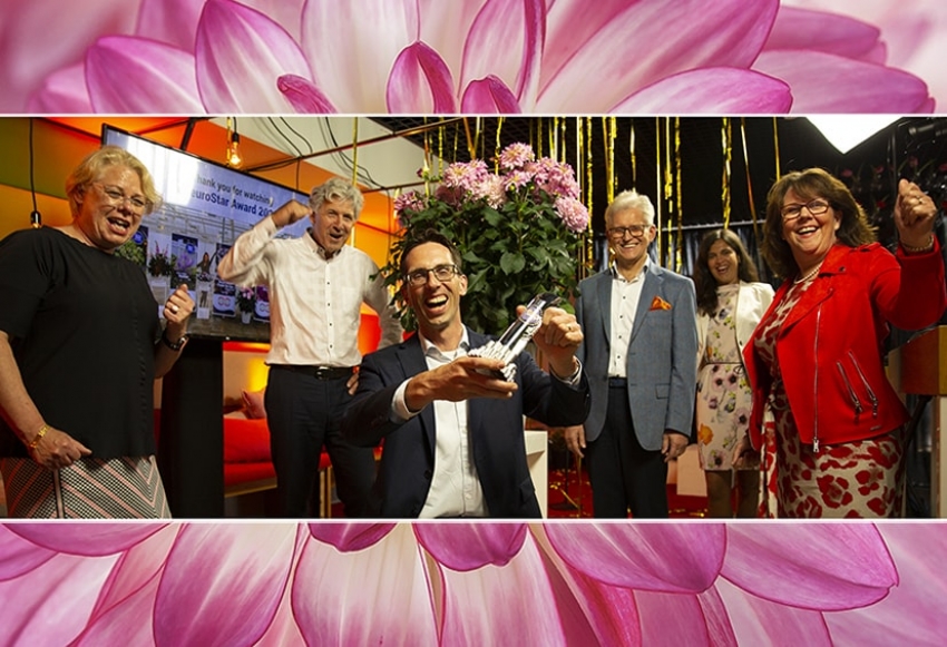 La Dahlia 'Sincerity' vince il Premio FleuroStar 2020