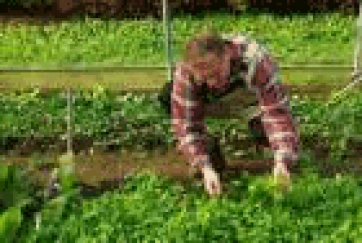 Monza: corso per progettisti di spazi verdi