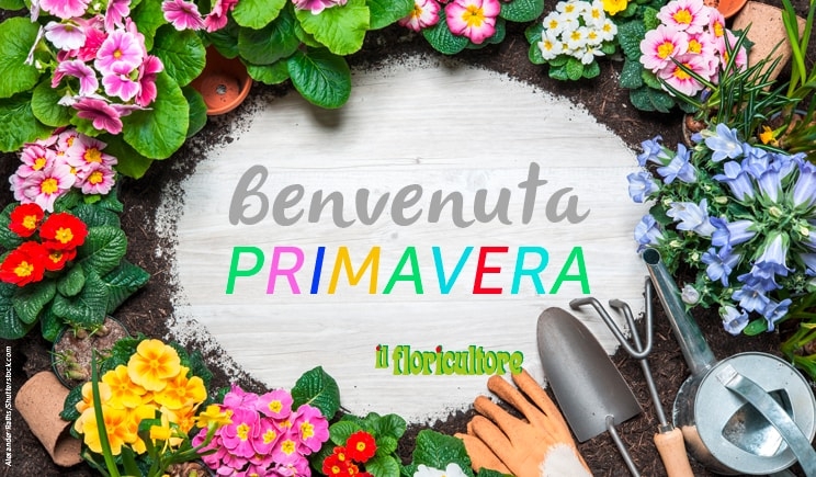 Benvenuta Primavera