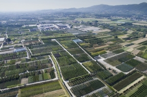 APPUNTAMENTI - A Pistoia la Serata del vivaismo 2023 con il convegno &ldquo;Competitivit&agrave; del vivaismo fra sostenibilit&agrave; ambientale ed economica&rdquo;