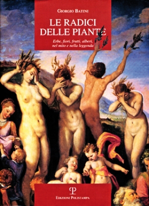 Le radici delle piante