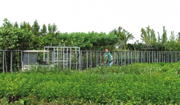 Piante ad alto rischio, in corso la consultazione pubblica di EFSA