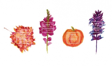 USA: le piante 2019  secondo il National Garden Bureau