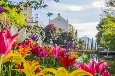 9 aprile 2021: riaprono i Giardini di Castel Trauttmansdorff