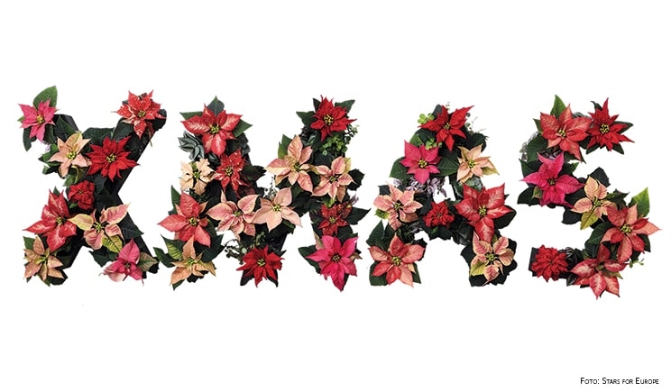 DECORAZIONI Natale 2019 - Ditelo con le Stelle