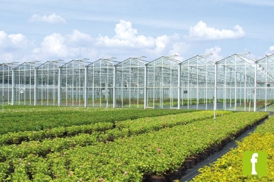 Al via l&#039;edizione 2025 di Growing in ANVE