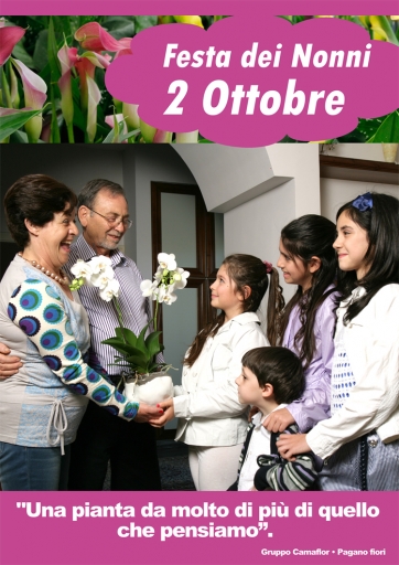 Il Gruppo Camaflor sostiene la Festa dei Nonni