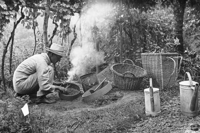 &ldquo;Nei giardini di Hesse: tra compost, arte e consapevolezza&rdquo;: la mostra dedicata allo scrittore che trov&ograve; risposte tra aiuole fiorite, cumuli di compost e alberi da frutto