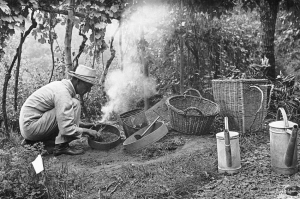 &ldquo;Nei giardini di Hesse: tra compost, arte e consapevolezza&rdquo;: la mostra dedicata allo scrittore che trov&ograve; risposte tra aiuole fiorite, cumuli di compost e alberi da frutto