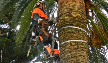 Salute e sicurezza in agricoltura e selvicoltura: seminario ai Georgofili marted&igrave; 8 maggio