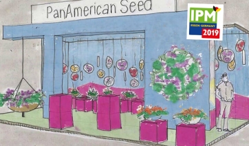 PanAmerican Seed promette spettacolo a IPM Essen 2019