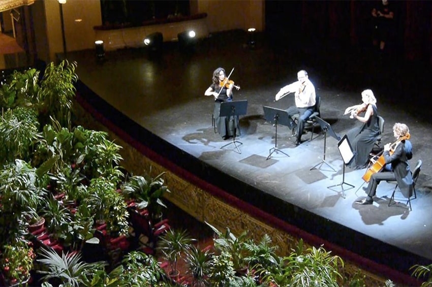 A Barcellona 2.292 piante in estasi per i "Crisantemi" di Puccini