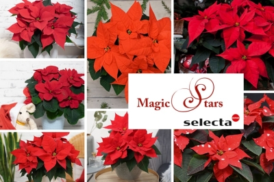 23-24 Novembre: torna “Magic Stars” di Selecta one