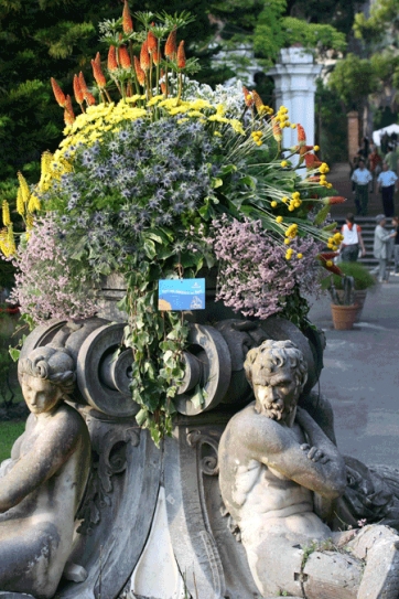 MEDITERRANEO E DINTORNI