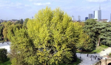 Appalti migliori per una maggiore qualità del verde urbano. Il 9 maggio a Milano convegno Ministero dell’Ambiente, Assofloro Lombardia e Myplant&amp;Garden