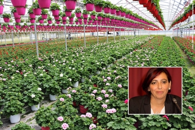 Autodichiarazione e &ldquo;corridoio verde&rdquo;: le richieste di Assofloro per l'emergenza Coronavirus