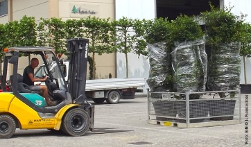 Cresce ancora l&rsquo;export per il florovivaismo pistoiese