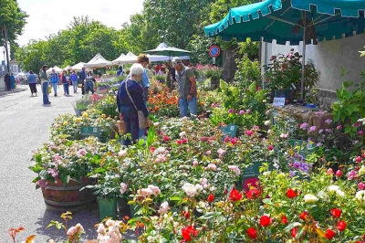 Coniolo Fiori 2024 un evento per comunicare al mondo la magia del Monferrato
