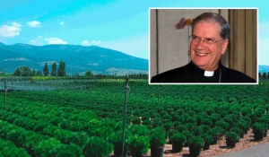 Il Vescovo di Pistoia ai vivaisti:  «Siete i paladini del verde»