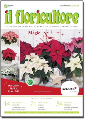 DICEMBRE 2017