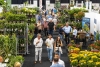 PLANTARIUM|GROEN-Direkt 2024: il 6 e 7 Febbraio l&rsquo;edizione primaverile del Salone internazionale del verde da esterno al dettaglio