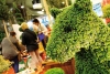 Flormart 2013 ai nastri di partenza: invito e biglietto d'ingresso omaggio