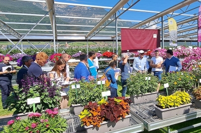 Psenner presenta il nuovo, ricco assortimento Primavera/Estate 2025