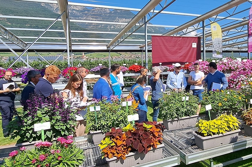 Psenner presenta il nuovo, ricco assortimento Primavera/Estate 2025