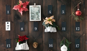 Dov&rsquo;&egrave; la Stella di Natale? Nel Calendario dell&rsquo;Avvento