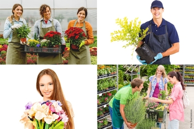 I numeri del florovivaismo italiano 2023: produzione ed export stabili su livelli da record