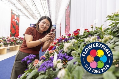 Il conto alla rovescia per i FlowerTrials 2026 &egrave; davvero iniziato: appuntamento dal 9 al 12 Giugno